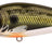 Spro-Iris Flanky Hardlure-Shad-9cm-Hengelsport De Goeie Vangst