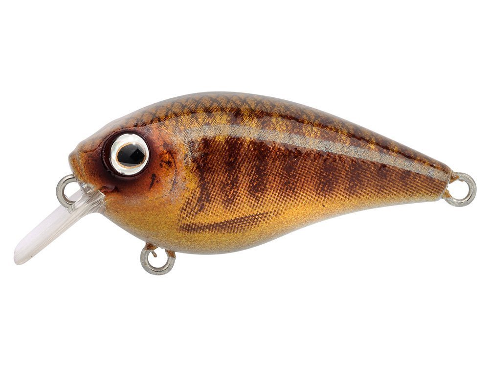 Spro - Ikiru Crank 45mm - Short Lip - Hengelsport De Goeie Vangst