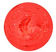 Spro - Trout Master Pro Paste | Garlic - Hengelsport De Goeie Vangst