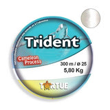 Tortue-Trident Coque Nylon Lijn | 300m-0.50mm - Hengelsport De Goeie Vangst