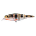 Spro-Pikefighter Triple Jointed MW 145-UV Perch-14.5cm-Hengelsport De Goeie Vangst