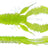 Westin-CreCraw Creaturebait-6.5cm-Holy Chartreuse-Hengelsport De Goeie Vangst