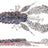 Westin-CreCraw Creaturebait-6.5cm-Oyster-Hengelsport De Goeie Vangst