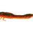 Westin-Odonata Ned Creaturebait-6.5cm-Motoroil Moss-Hengelsport De Goeie Vangst
