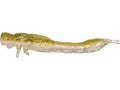 Westin-Odonata Ned Creaturebait-6.5cm-Olive Mist-Hengelsport De Goeie Vangst