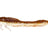 Westin-Odonata Ned Creaturebait-6.5cm-Brown Shiner-Hengelsport De Goeie Vangst