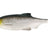 Westin-Ricky the Roach Shadtail Box-14cm-Headlight-Hengelsport De Goeie Vangst