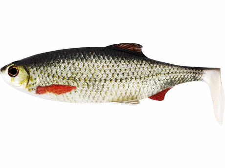 Westin-Ricky the Roach Shadtail Box-14cm-Real roach-Hengelsport De Goeie Vangst