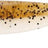 Westin-Shadteez Slim-14cm-Baitfish-Hengelsport De Goeie Vangst