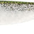 Westin-Shadteez Slim-7.5cm-Green Headlight-Hengelsport De Goeie Vangst