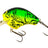 Shimano-Bantam Macbeth 50-Chart Claw-5cm-Hengelsport De Goeie Vangst