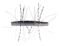 Z-Man-Fuzzy TRD 2.75"-2.75" / 7cm-Electric Shad-Hengelsport De Goeie Vangst